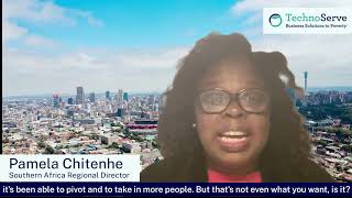 What Happened in South Africa's 2024 General Election?