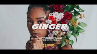 "GINGER" Afro Beat  instrumental 2023 - (Afro  type beats)