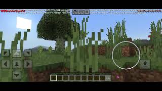 I Saw Flash Speed Creature | Minecraft Gameplay