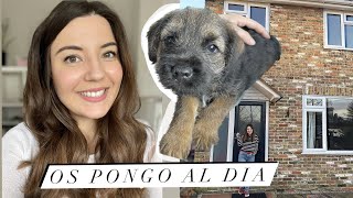 Nueva casa 🏠 nuevo miembro de la familia 🐶  y mini haul 🛍️