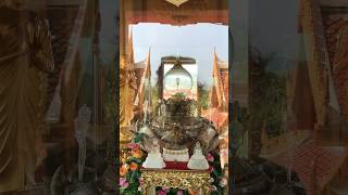 реликвия - часть плечевой кости Будды #тайланд #thailand #phuket #пхукет #буддизм #ватчалонг