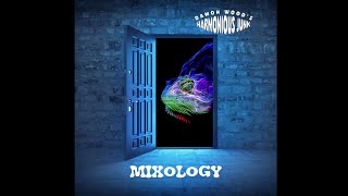 "MIXOLOGY" EP - Damon Wood's Harmonious Junk