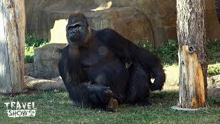 Московский зоопарк | Moscow Zoo | Одно из лучших мест в городе