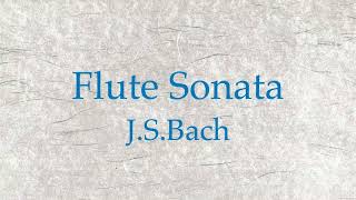 J.S.Bach - Flute Sonata in E-flat major BWV 1031-Allegro