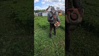 Триммер Stihl FS 250