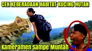 NAIK BUKIT DEKAT HUTAN HABITAT MACAN AKAR | Sambil Lihat Pemandangan Hutan Pedesaan