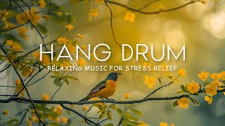 Calming Hang Drum Music for Relaxation, Reduce Stress, Anxiety & Depression • Sleep music #12