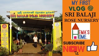 Our first VLOG on SRI BALAJI ROSE AND PLANT NURSERY !!! Tamil