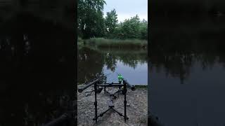 Carp run on delkims (123) #fishing #carpfishing #carp #carpbites&runsuk