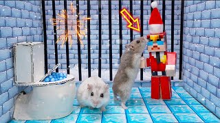 🐹Hamster Escapes Winter Christmas Ice Prison Maze 🎄❄