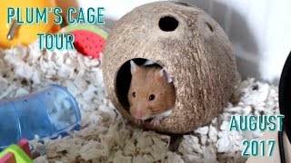 PLUM'S CAGE TOUR / AUGUST 2017