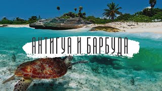 17 интересных фактов об Антигуа и Барбуда