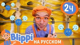 Блиппи в Водном Аттракционе | Изучай этот мир вместе с Блиппи - Blippi Russian