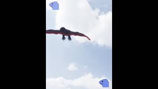 Rodan vs Kong (2017) | Animation #shorts