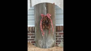 Thrifty Charm Decor Shabby Chic Vintage Rustic Home and Wall Hangings Decor Idea