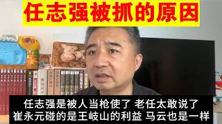 翟山鹰：任志强被抓的原因丨刘亚洲替人背锅丨崔永元触碰了王岐山的利益丨马云丨习近平