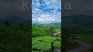 Must visit place in Munnar #kerala #munnar