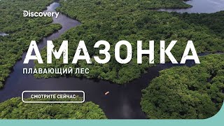 Амазонка: плавающий лес | Неизведанные острова | Discovery Channel