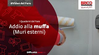 Come evitare che si formi nuovamente la muffa - Quaderni del Fare | Bricocenter