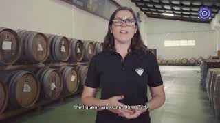 Mundo Marca Açores - Pico Wines (english subtitles)