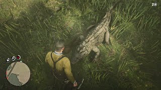 I didn't know that alligators use cheats | RDR 2