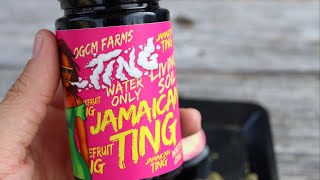 THIS WEED WAS GROWN IN MIAMI! | OGCM FARMS: TING