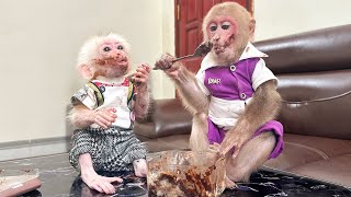 Super funny! Bibi and baby monkey hide from Mom to get cake to enjoy!