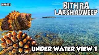 LAKSHADWEEP                              UNDER WATER VIEW 1