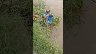 बहोत मशककत सें निकाला रूहू मछलि, rohu fishing