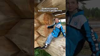 Эксклюзивные дома и бани из бревна кедра в диком стиле #домизкедра #кедровыйдом #баняподключ #баня