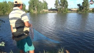 Quăng thử 1 chài ai ngờ dính toàn cá mè dinh | Catch fish in vietnam