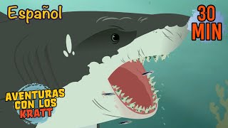 El Secreto del Tiburón | Mantarrayas y más del Mar | Episodio Completo | Aventuras con los Kratt