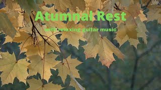 Relaxing Guitar Music (Atumnal Rest)