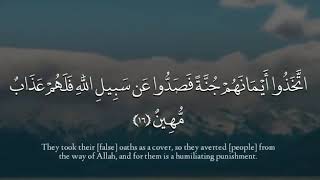 🌷🌷 وَيَحْلِفُونَ عَلَى الْكَذِبِ وَهُمْ يَعْلَمُونَ 🌷🌷 تلاوة القارئ وديع اليمني