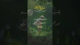 SURAH AL ROOM | VERSES (24) Quran Urdu Translation | Text With Fateh Muhammad Jalandri #ytshorts