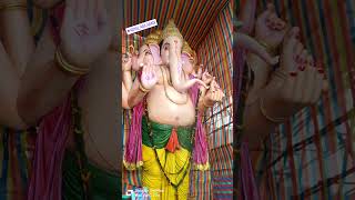 How adilabad biggest ganesh visarjan done in adilabad #ganeshvisarjan2024 #ytshorts