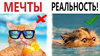 Лютые приколы. ОЖИДАНИЕ – РЕАЛЬНОСТЬ! РЖАКА ДО СЛЁЗ! Самое смешное видео - Domi Show