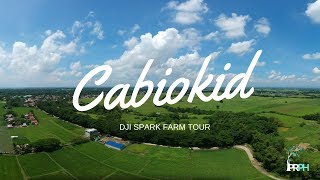 Cabiokid - DJI Spark Farm Tour