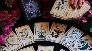 SCORPIO   OMG! U MADE ME CRY SOMEONE IS GOING TO SURPRISE YOU DEAR SCORPIO TAROT READING