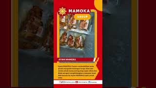 Ayam MAMOKA #mamokagroup #ayamgeprekmamokajogja #fypシ #ayammamoka