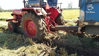 Mahindra 575Di in paddy load