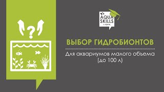 01/04/2021 Выбор обитателей для аквариумов малого объема  до 100 л