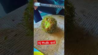 Kê đầu thực mô hình làm giàu cho bà con #shortsfeed #fruit #tintuc