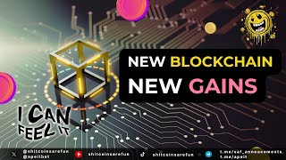 Don't Miss Out: Koko's Take on the Value of New Blockchains