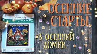 53.  Осенние старты: #3 Осенний домик