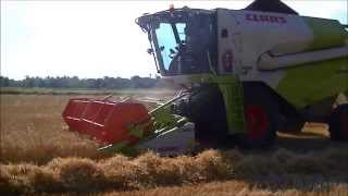 Trebbiatura Frumento 2014 Claas Tucano 430 + C 450