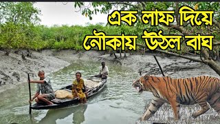 এক লাফ দিয়ে বাঘ নৌকায় উঠলো | Sundarban | Sundarban tiger attack | Tiger attack fisherman