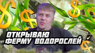 Vlog 24-2 (Ферма водорослей)