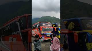 Bus Tuan Muda Bikin Tegang Di Daerah Wisata