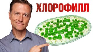 Польза хлорофилла. Вот почему нужно есть овощи и зелень! ✅